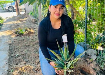 INICIA COORDINACIÓN DE ECOLOGÍA Y MEDIO AMBIENTE DE MIRAFLORES PROGRAMA DE REFORESTACIÓN