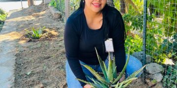 INICIA COORDINACIÓN DE ECOLOGÍA Y MEDIO AMBIENTE DE MIRAFLORES PROGRAMA DE REFORESTACIÓN