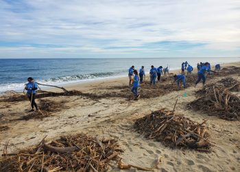 ZOFEMAT LOS CABOS Y LA FUNDACIÓN COSTA PALMA REALIZARON UNA PRODUCTIVA JORNADA DE LIMPIEZA EN LA PLAYA EL SURGIDERO