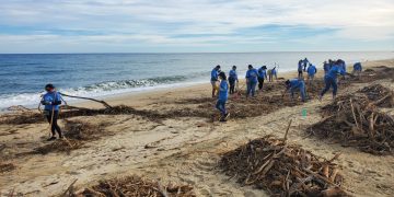 ZOFEMAT LOS CABOS Y LA FUNDACIÓN COSTA PALMA REALIZARON UNA PRODUCTIVA JORNADA DE LIMPIEZA EN LA PLAYA EL SURGIDERO