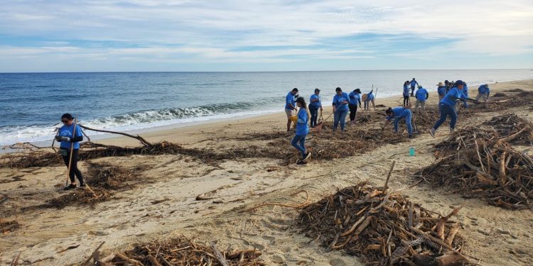 ZOFEMAT LOS CABOS Y LA FUNDACIÓN COSTA PALMA REALIZARON UNA PRODUCTIVA JORNADA DE LIMPIEZA EN LA PLAYA EL SURGIDERO