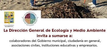 INVITA ZOFEMAT LOS CABOS A SUMARSE A LA CAMPAÑA DE LIMPIEZA DE LIRIO ACUÁTICO ESTE 25 DE NOVIEMBRE EN LA ZONA DEL ESTERO EN SJC