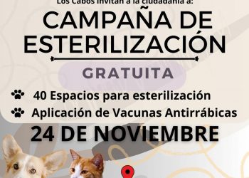 REALIZARÁ GOBIERNO DE LOS CABOS CAMPAÑA GRATUITA DE ESTERILIZACIÓN CANINA Y FELINA EN SANTA CRUZ