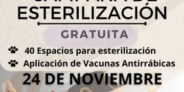REALIZARÁ GOBIERNO DE LOS CABOS CAMPAÑA GRATUITA DE ESTERILIZACIÓN CANINA Y FELINA EN SANTA CRUZ