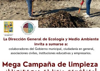 CONVOCA ZOFEMAT A SUMARSE A LA MEGA CAMPAÑA DE LIMPIEZA “JUNTOS ELIMINEMOS EL LIRIO ACUÁTICO “ EN EL ESTERO DE SJC