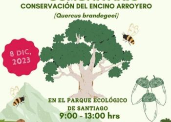 REALIZARÁN 2do FESTIVAL COMUNITARIO “SALVEMOS EL ENCINO ARROYERO “ EN LA DELEGACIÓN DE SANTIAGO