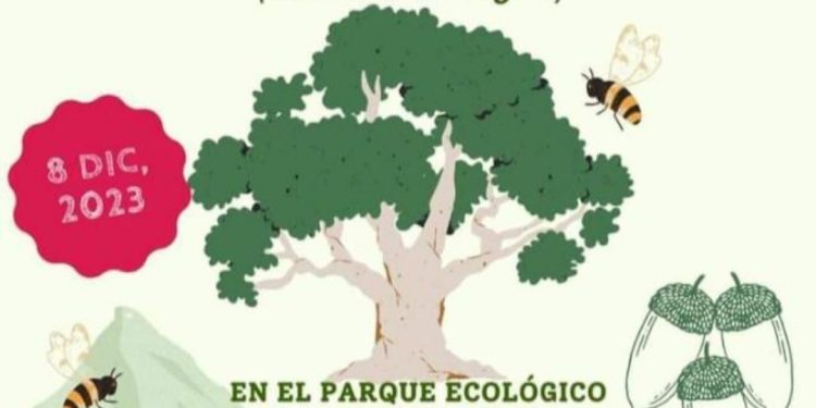 REALIZARÁN 2do FESTIVAL COMUNITARIO “SALVEMOS EL ENCINO ARROYERO “ EN LA DELEGACIÓN DE SANTIAGO