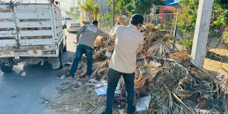 SERVICIOS PÚBLICOS DE LOS CABOS AVANZAN EN LA LIMPIEZA DE LA COLONIA EJIDAL