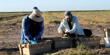 CLAUSURA GOBERNADOR VCC, TRABAJOS DE PRIMERA REUNIÓN NACIONAL DE CULTURA