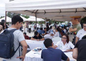 CUENTA BCS CON SEIS LABORATORIOS CERTIFICADOS PARA PRODUCCIÓN DE SEMILLA DE OSTIÓN JAPONÉS