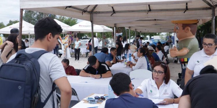 CUENTA BCS CON SEIS LABORATORIOS CERTIFICADOS PARA PRODUCCIÓN DE SEMILLA DE OSTIÓN JAPONÉS