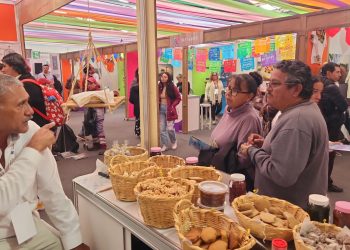 A PARTIR DEL 1 DE DICIEMBRE, INICIARÁ LA REGULARIZACIÓN DE VEHÍCULOS CON LETRA EN BCS: REPUVE