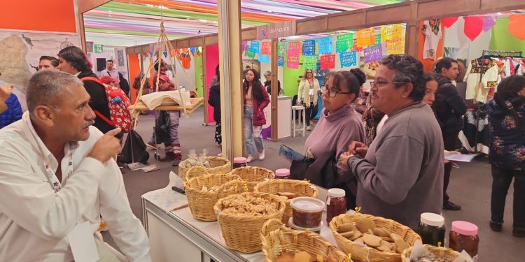 A PARTIR DEL 1 DE DICIEMBRE, INICIARÁ LA REGULARIZACIÓN DE VEHÍCULOS CON LETRA EN BCS: REPUVE