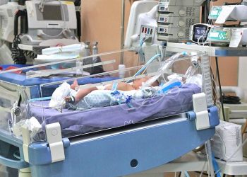 EMITE SEPADA RECOMENDACIONES A PRODUCTORES AGRICOLAS POR TEMPORADA DE INVIERNO