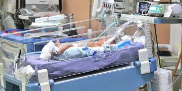 EMITE SEPADA RECOMENDACIONES A PRODUCTORES AGRICOLAS POR TEMPORADA DE INVIERNO