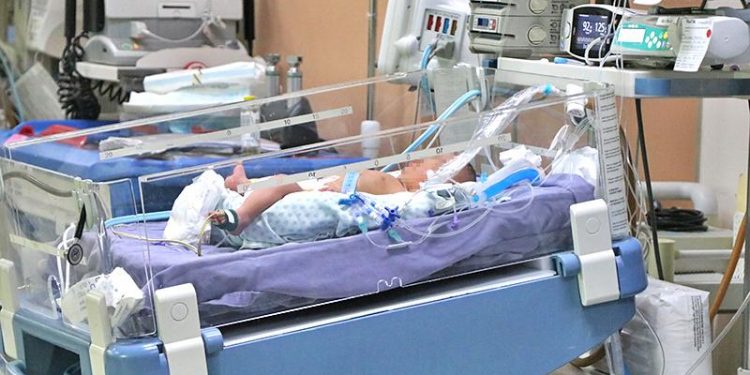 EMITE SEPADA RECOMENDACIONES A PRODUCTORES AGRICOLAS POR TEMPORADA DE INVIERNO