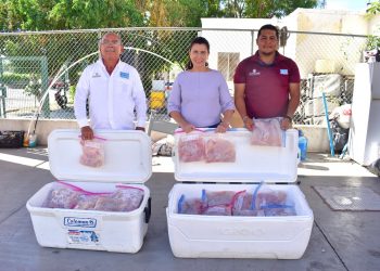 DOÑA FONMAR A DIF LA PAZ PRODUCTO RETENIDO DURANTE OPERATIVO DE VIGILANCIA