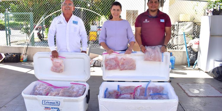 DOÑA FONMAR A DIF LA PAZ PRODUCTO RETENIDO DURANTE OPERATIVO DE VIGILANCIA