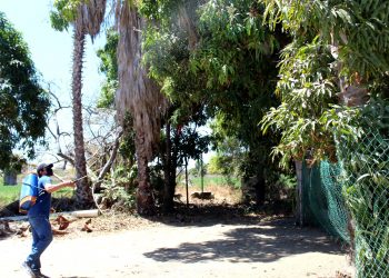 BENEFICIA GOBIERNO ESTATAL A MÁS DE 800SUDCALIFORNIANOS CON APOYOS DE MOVILIDAD Y AUXILIARES AUDITIVOS