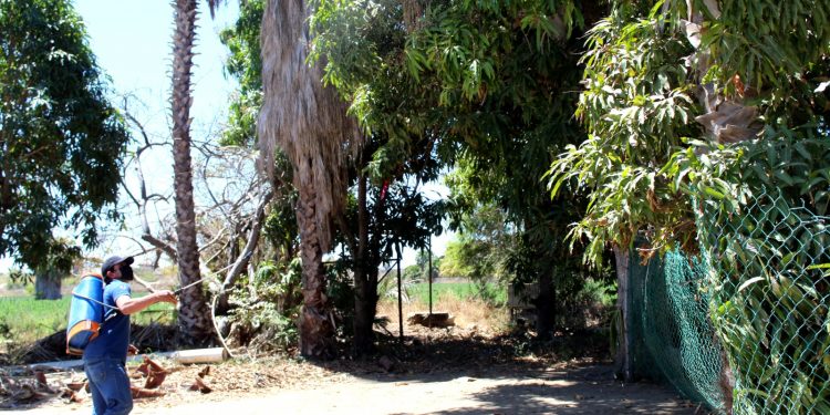 BENEFICIA GOBIERNO ESTATAL A MÁS DE 800SUDCALIFORNIANOS CON APOYOS DE MOVILIDAD Y AUXILIARES AUDITIVOS