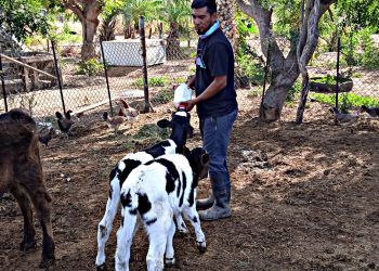 MÁS DE 10 MIL ALUMNOS DEPRIMARIA  RECIBEN DESAYUNOS CALIENTES