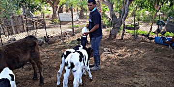 MÁS DE 10 MIL ALUMNOS DEPRIMARIA  RECIBEN DESAYUNOS CALIENTES