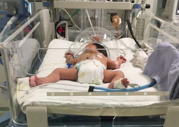 OBTIENE PREMIO “FORJADOR DE GENERACIONES 2023” EL MAESTRO SEALTIEL ENCISO PÉREZ