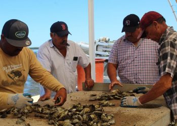 ATIENDE SEP EN BCS A MÁS DE 8 MIL ESTUDIANTES CON DISCAPACIDAD