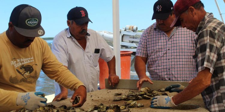 ATIENDE SEP EN BCS A MÁS DE 8 MIL ESTUDIANTES CON DISCAPACIDAD