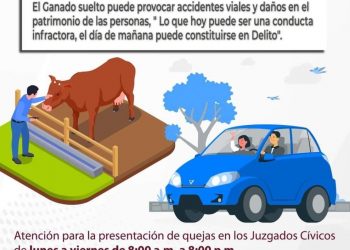 JUSTICIA CÍVICA DE FORMA CONTINUA RECIBE REPORTES DE LA CIUDADANÍA SOBRE EL GANADO SUELTO