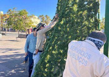 PERSONAL DE SERVICIOS PÚBLICOS EMPEZÓ CON LA INSTALACIÓN DE ADORNOS NAVIDEÑOS EN LA PLAZA JOSÉ ANTONIO MIJARES EN SAN JOSÉ DEL CABO