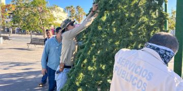 PERSONAL DE SERVICIOS PÚBLICOS EMPEZÓ CON LA INSTALACIÓN DE ADORNOS NAVIDEÑOS EN LA PLAZA JOSÉ ANTONIO MIJARES EN SAN JOSÉ DEL CABO