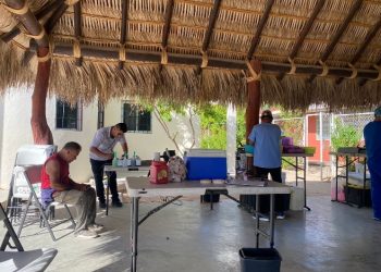 PRO-ANIMAL LOS CABOS EN CONJUNTO CON LA JURISDICCIÓN SANITARIA #4 CONTINÚAN IMPULSANDO CAMPAÑAS DE ESTERILIZACIÓN CANINA Y FELINA