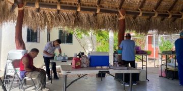 PRO-ANIMAL LOS CABOS EN CONJUNTO CON LA JURISDICCIÓN SANITARIA #4 CONTINÚAN IMPULSANDO CAMPAÑAS DE ESTERILIZACIÓN CANINA Y FELINA