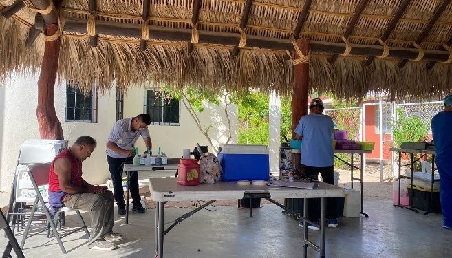 PRO-ANIMAL LOS CABOS EN CONJUNTO CON LA JURISDICCIÓN SANITARIA #4 CONTINÚAN IMPULSANDO CAMPAÑAS DE ESTERILIZACIÓN CANINA Y FELINA