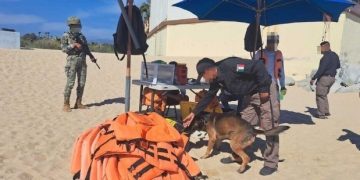 FGR REALIZA INSPECCIONES EN PLAYAS DE LOS CABOS, BCS