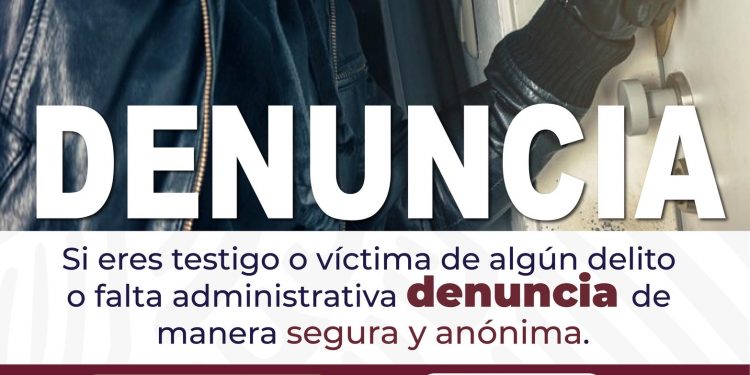 PRO-ANIMAL LOS CABOS INVITA A LA CIUDADANÍA A PARTICIPAR EN “ COBIJA UNA MASCOTA “