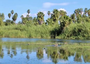 EXHORTA GOBIERNO DE LOS CABOS A CIUDADANÍA A EVITAR FUEGOS ARTIFICIALES Y PIROTECNIA EN LA ZONA CERCANA AL ESTERO JOSEFINO