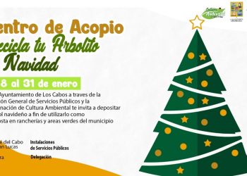 SERVICIOS PÚBLICOS DE LOS CABOS INFORMÓ QUE YA ESTÁN LISTOS LOS CENTROS DE ACOPIO DE ÁRBOLES NAVIDEÑOS