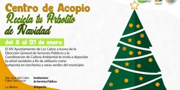 SERVICIOS PÚBLICOS DE LOS CABOS INFORMÓ QUE YA ESTÁN LISTOS LOS CENTROS DE ACOPIO DE ÁRBOLES NAVIDEÑOS