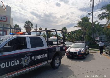 SERVICIOS PÚBLICOS DE LOS CABOS INFORMÓ QUE YA ESTÁN LISTOS LOS CENTROS DE ACOPIO DE ÁRBOLES NAVIDEÑOS