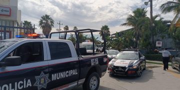 SERVICIOS PÚBLICOS DE LOS CABOS INFORMÓ QUE YA ESTÁN LISTOS LOS CENTROS DE ACOPIO DE ÁRBOLES NAVIDEÑOS