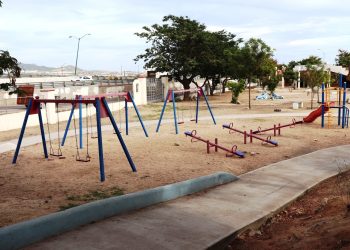 SERVICIOS PÚBLICOS DE LOS CABOS INFORMÓ QUE YA ESTÁN LISTOS LOS CENTROS DE ACOPIO DE ÁRBOLES NAVIDEÑOS