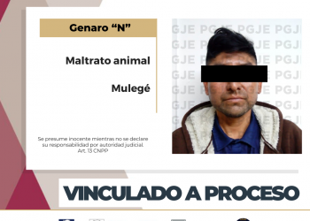 OBTIENE PGJE VINCULACIÓN A PROCESO POR MALTRATO ANIMAL EN MULEGÉ