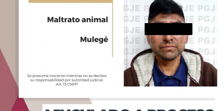 OBTIENE PGJE VINCULACIÓN A PROCESO POR MALTRATO ANIMAL EN MULEGÉ