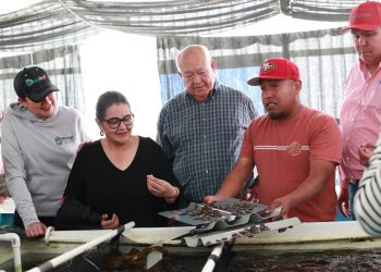 REFORZÓ GOBIERNO DE BCS ESTRATEGIAS PARA DETECCIÓN Y ATENCIÓN OPORTUNA DE VIH