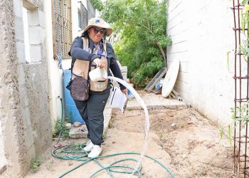 NECESARIA LA PARTICIPACIÓN CIUDADANA PARA MANTENER UNA REDUCIDA TASA DE LETALIDAD POR DENGUE EN BCS