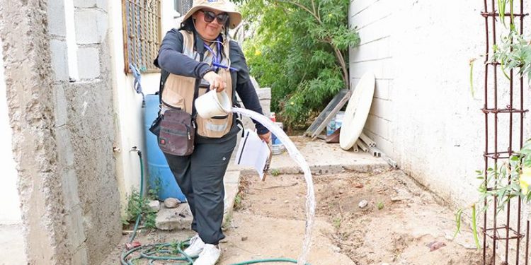 NECESARIA LA PARTICIPACIÓN CIUDADANA PARA MANTENER UNA REDUCIDA TASA DE LETALIDAD POR DENGUE EN BCS