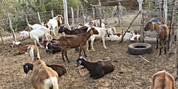 MÁS DE 1400 CONSULTAS DE PRIMERA VEZ OTORGARON LOS SERVICIOS DE SALUD MENTAL Y ADICCIONES DURANTE 2023
