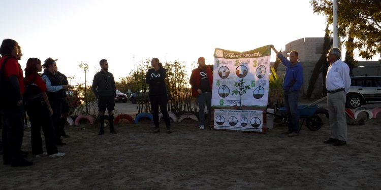 PARTICIPA SEPADA EN PROGRAMA DE REFORESTACIÓN PARA LA PAZ